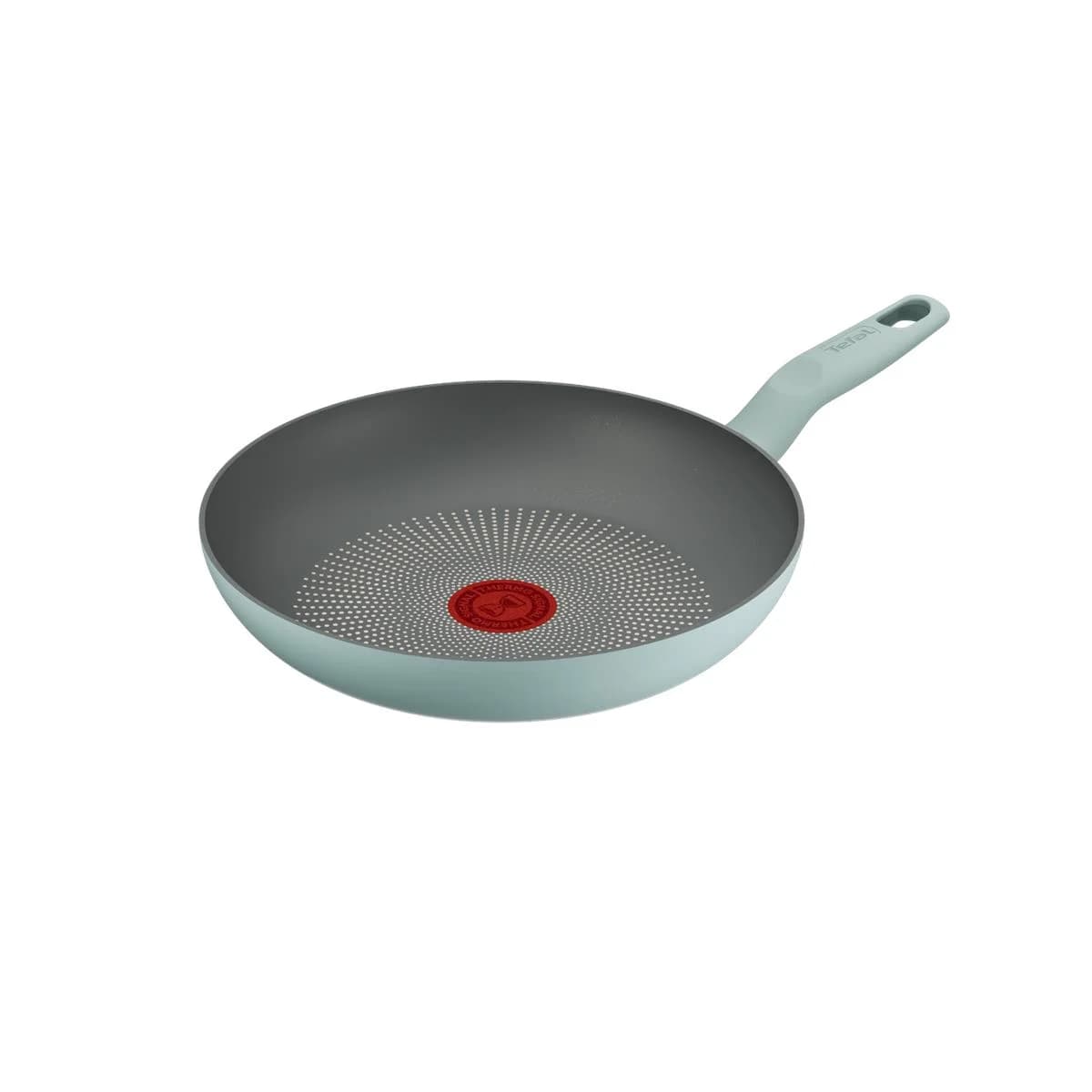 Halo Okaliptus Tava - 24 Cm